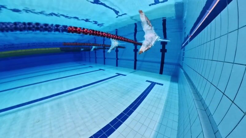 Elite Swim Team at GESS